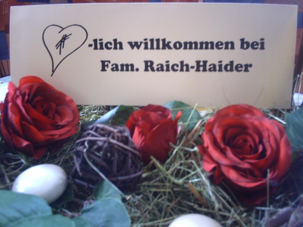 Temelerhof Apartment Gries im Sellrain Luaran gambar